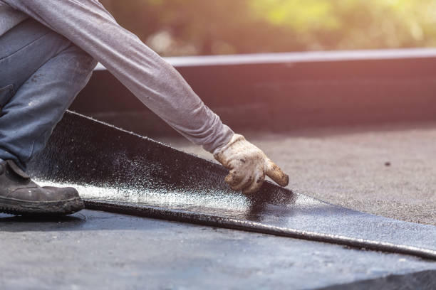 Professional Interior Drainage System technician working in Lexington, IL